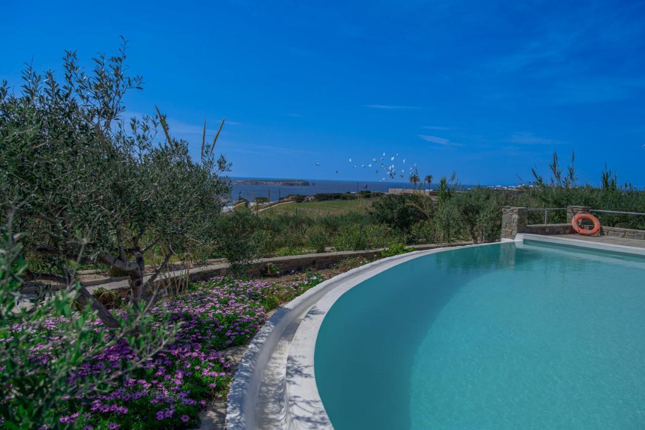 Anthemion Paros - Villas & Suites Agia Irini  Eksteriør billede