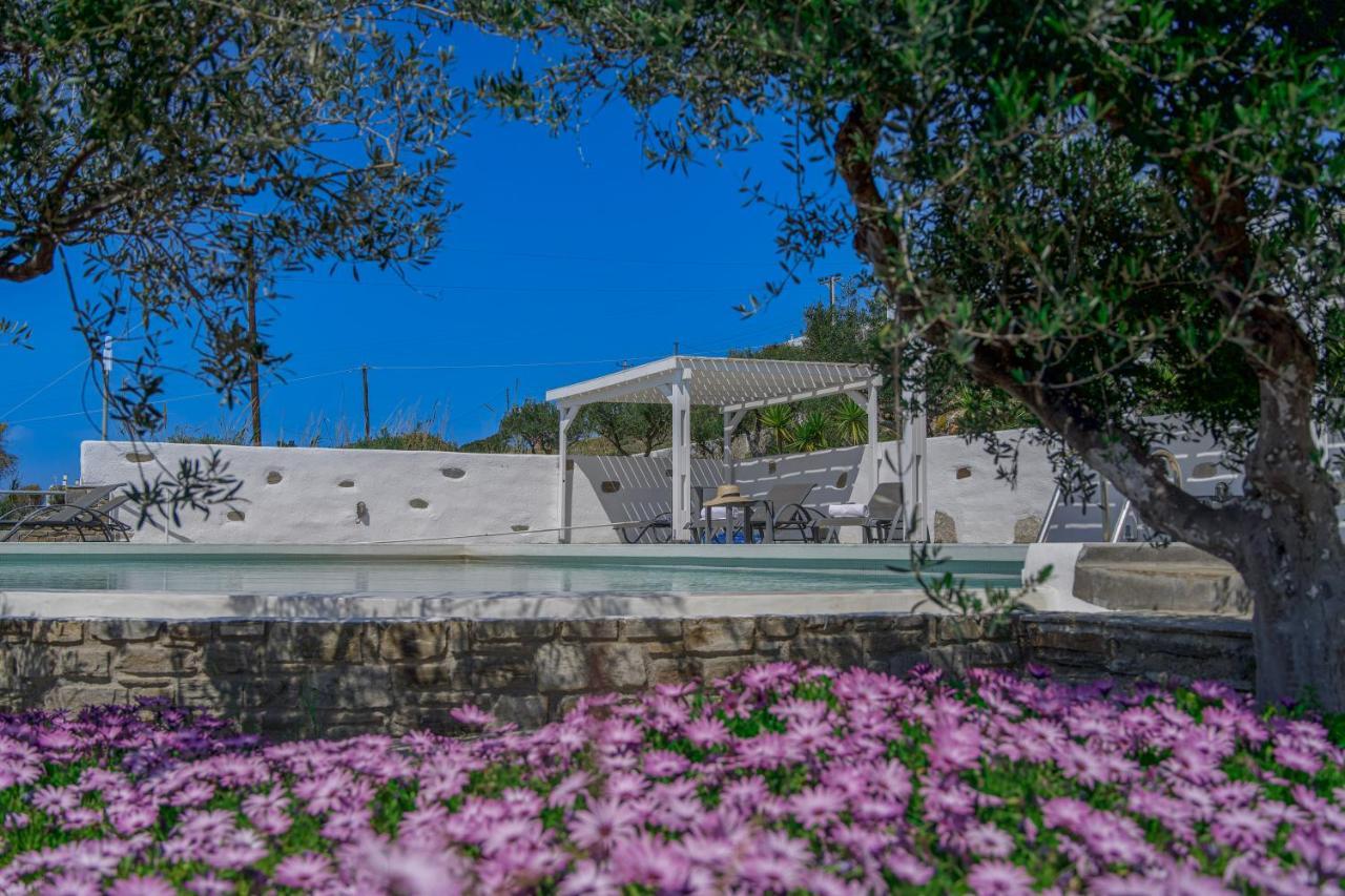Anthemion Paros - Villas & Suites Agia Irini  Eksteriør billede