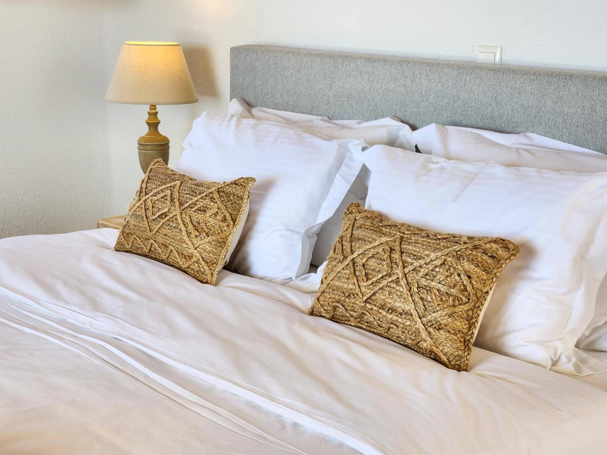Anthemion Paros - Villas & Suites Agia Irini  Eksteriør billede